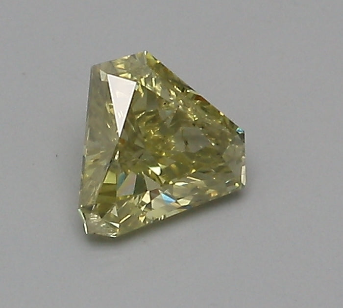 0.48 Carat Shield Shape Loose Natural Diamond