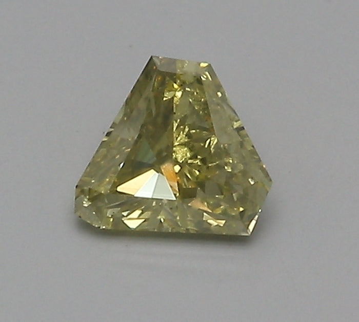 0.48 Carat Shield Shape Loose Natural Diamond