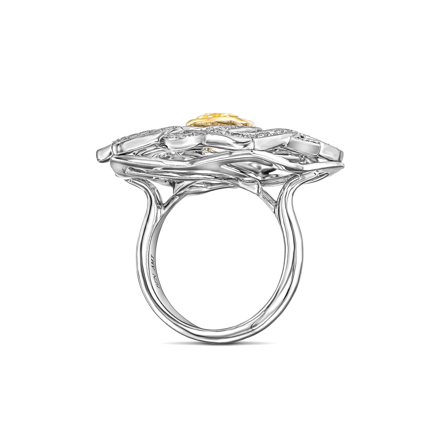 18K White Gold Ring With 3.44 TCW TCW Natural Diamond - Natural Fancy Colored Diamond Main Stone
