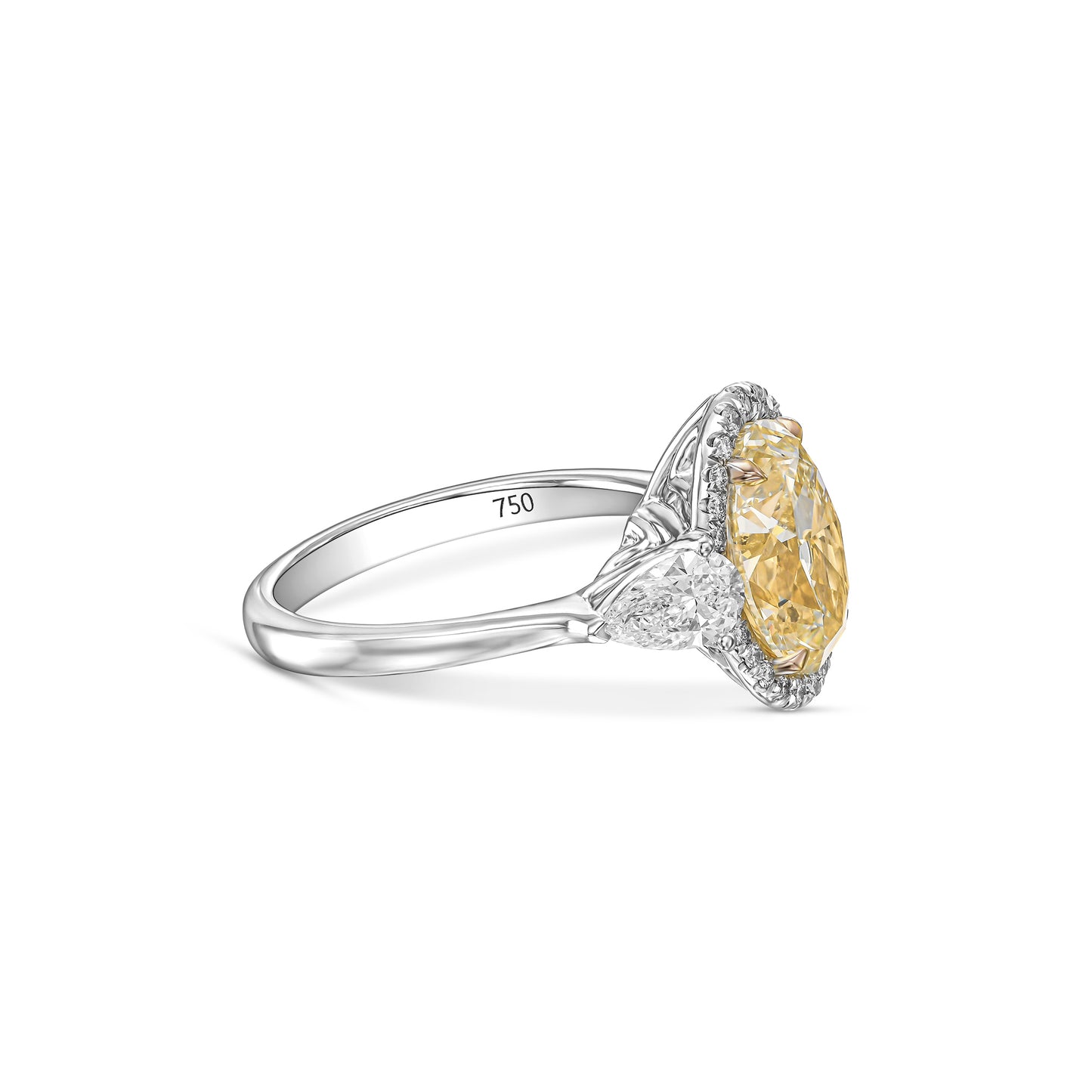 18K White Gold Ring With 3.91 TCW Natural Diamond- Natural Fancy Colored Diamond Main Stone