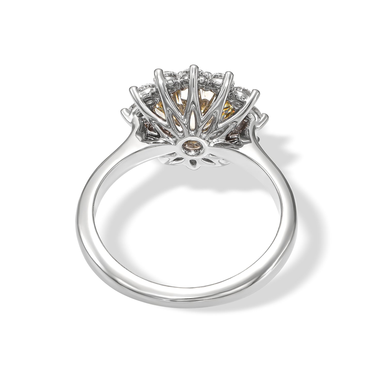 18K White Gold Ring With 2.83 TCW - Natural Fancy Colored Diamond Main Stone