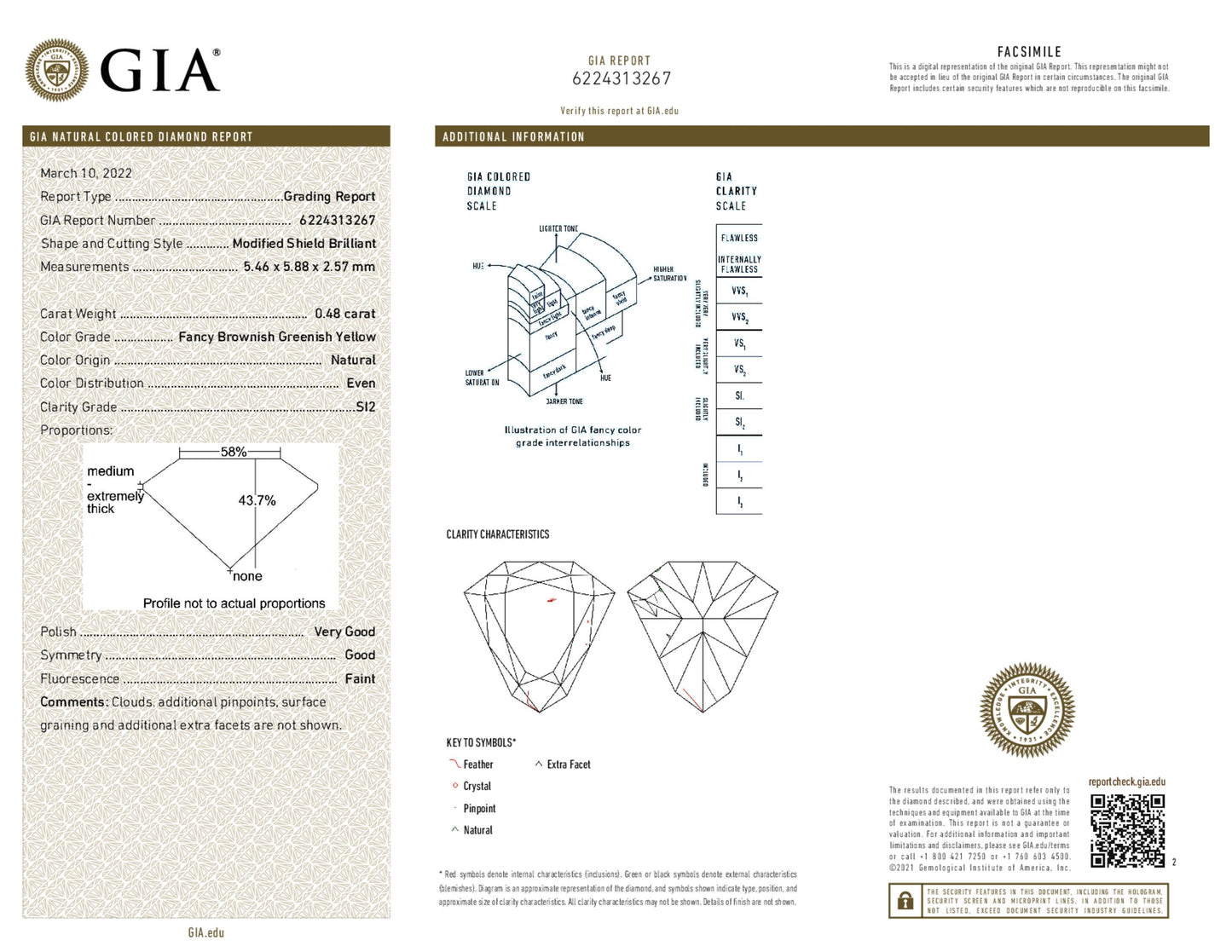0.48 Carat Shield Shape Loose Natural Diamond